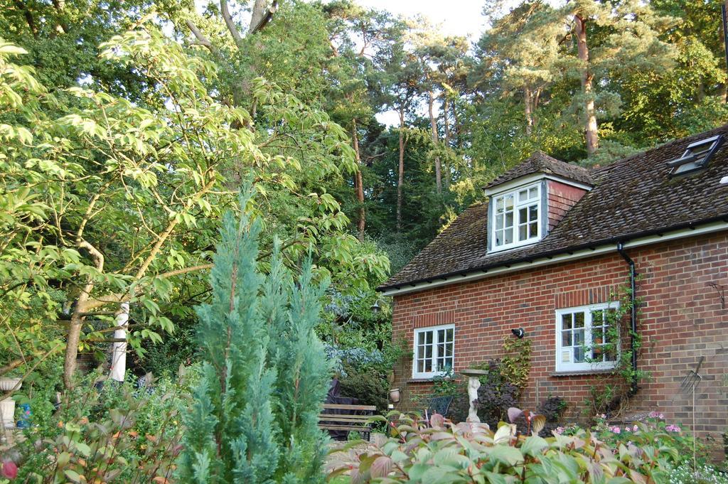 The Haven At Talysarn Leilighet Ascot  Rom bilde